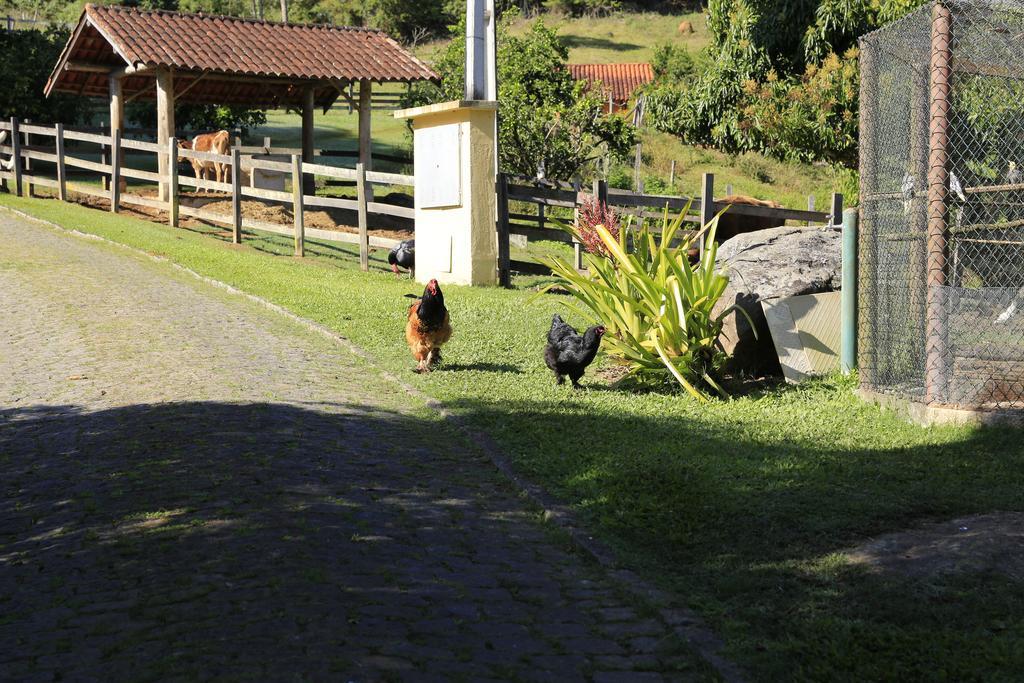 Suisse Inn Nova Friburgo